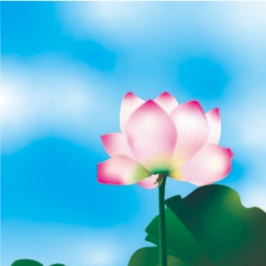 我的手绘相册
