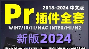 pr插件全套中文一键安装包转场效果字幕磨皮调色预设素材模板2024