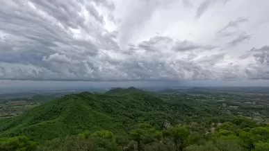 宁静山丘·灰蓝森林壁纸8192x5120