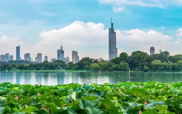 南京玄武湖畔：古都的现代与自然交响_(7952x4597)