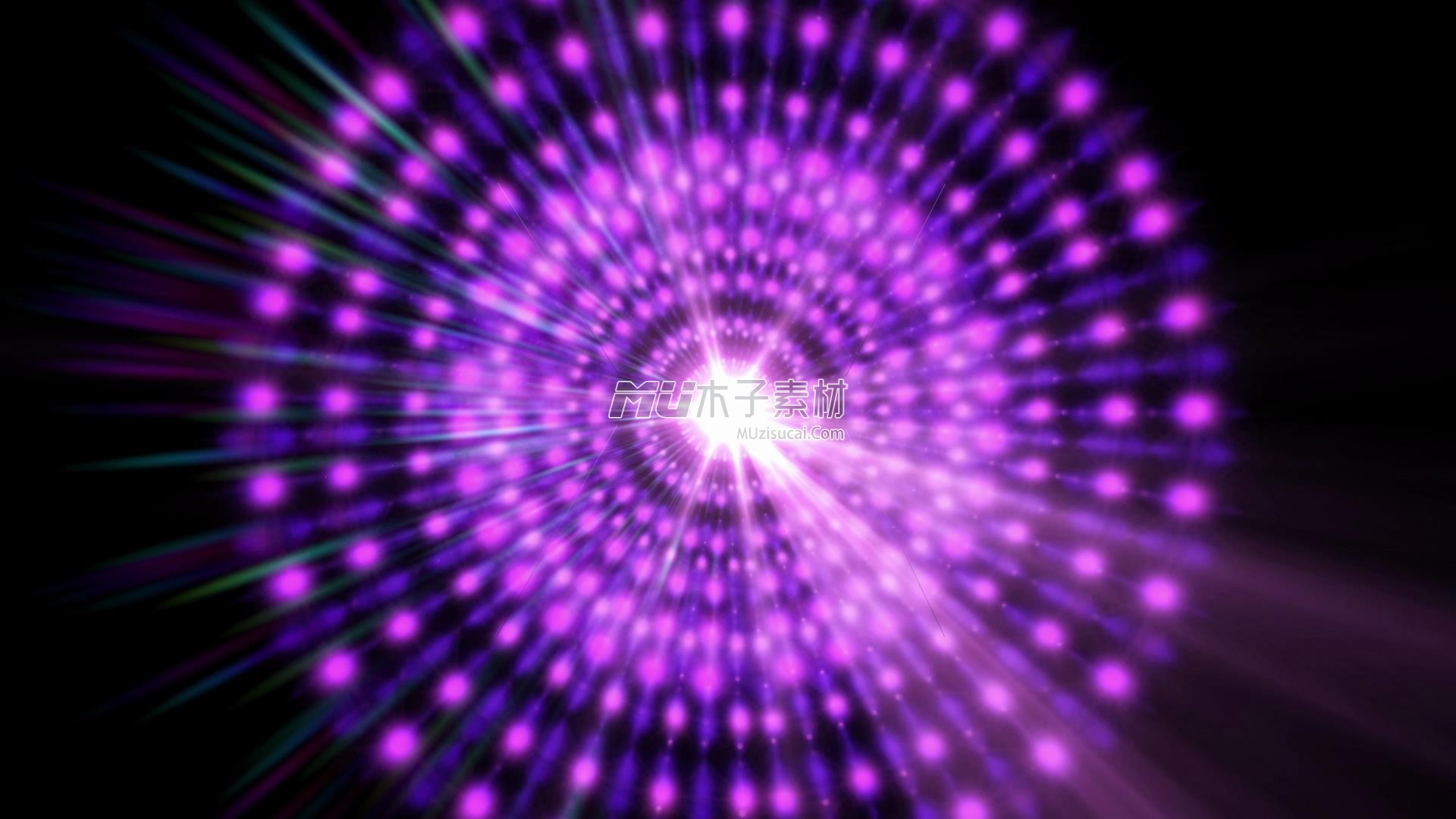 2023-12-03 13-40-45.jpg