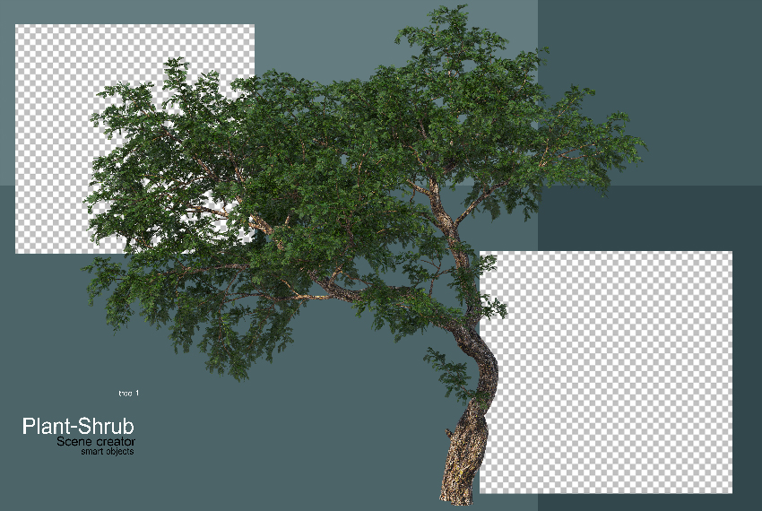 tree_6292.jpg