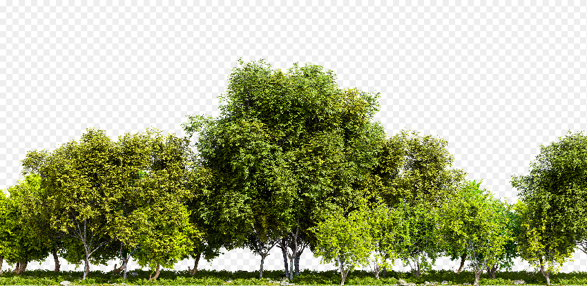 stock_3d_0080_tree.jpg