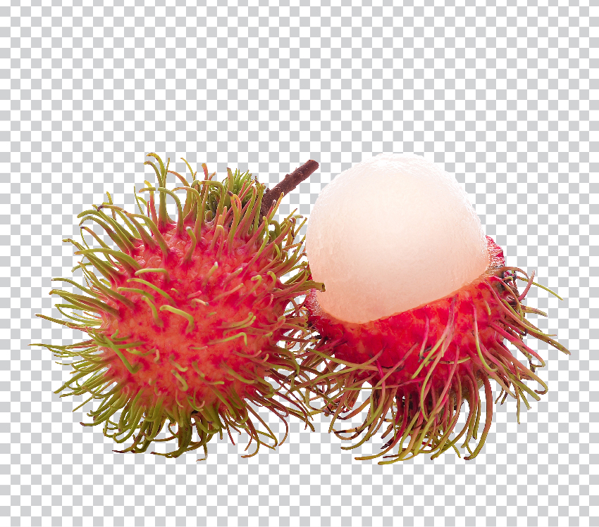 6603rambutan.jpg