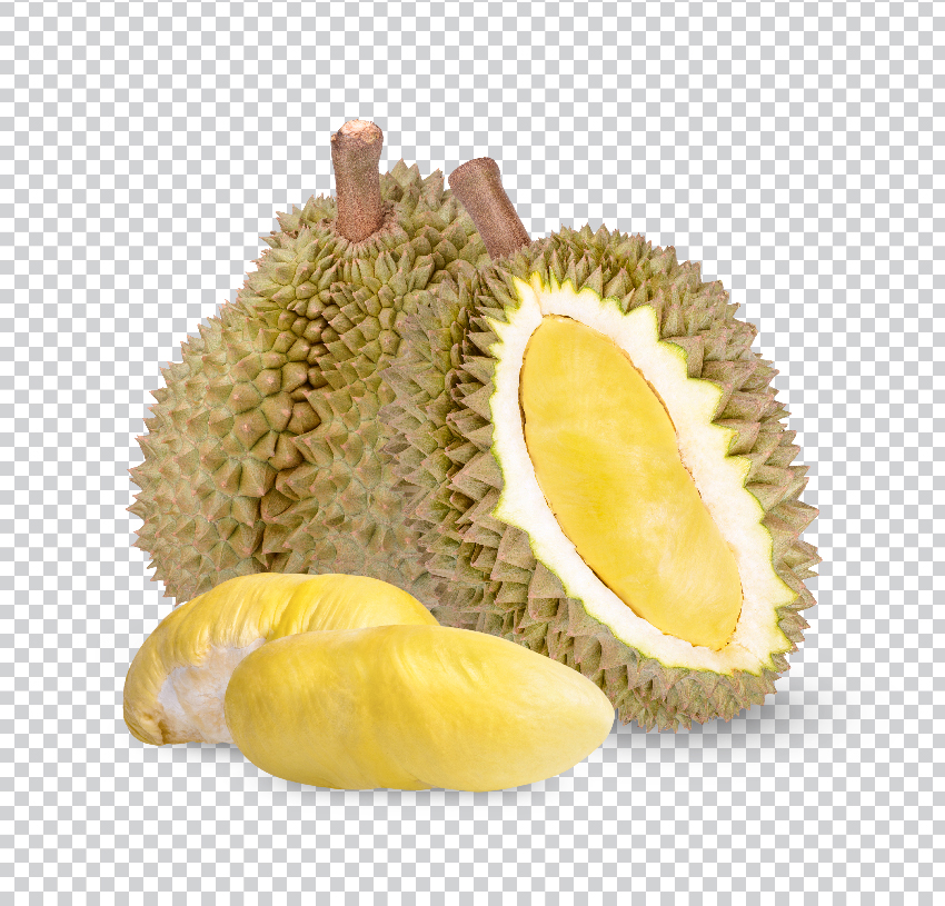 Durian_Premium_psd_08.jpg