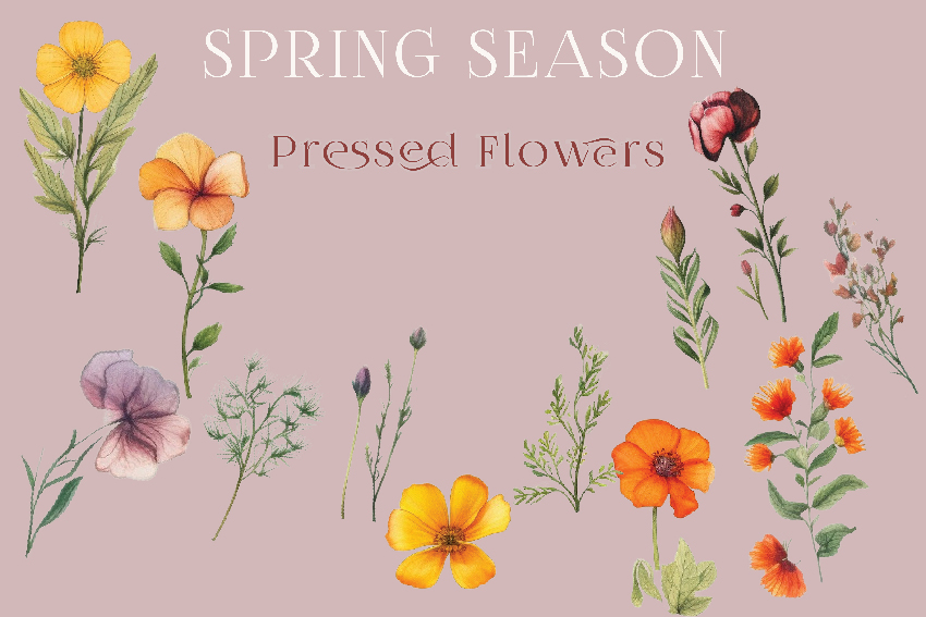 pressed_flowers.jpg