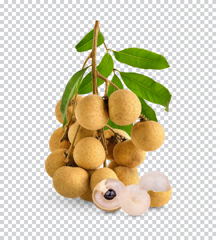 Longan_Premium_psd_04.jpg