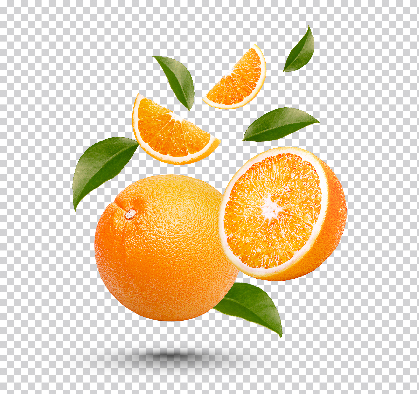 81.jpg