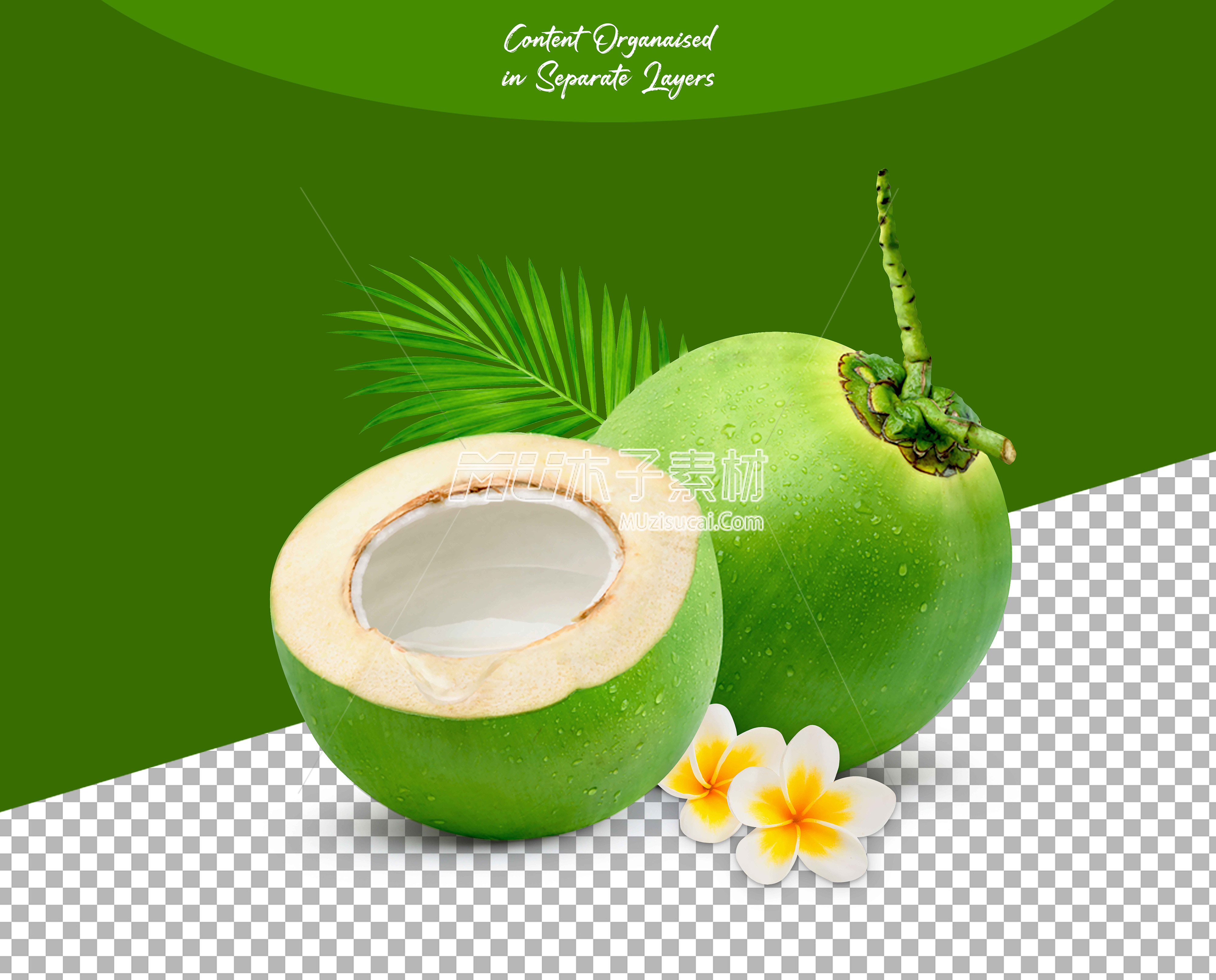 Green Coconut Summer Fruits.jpg