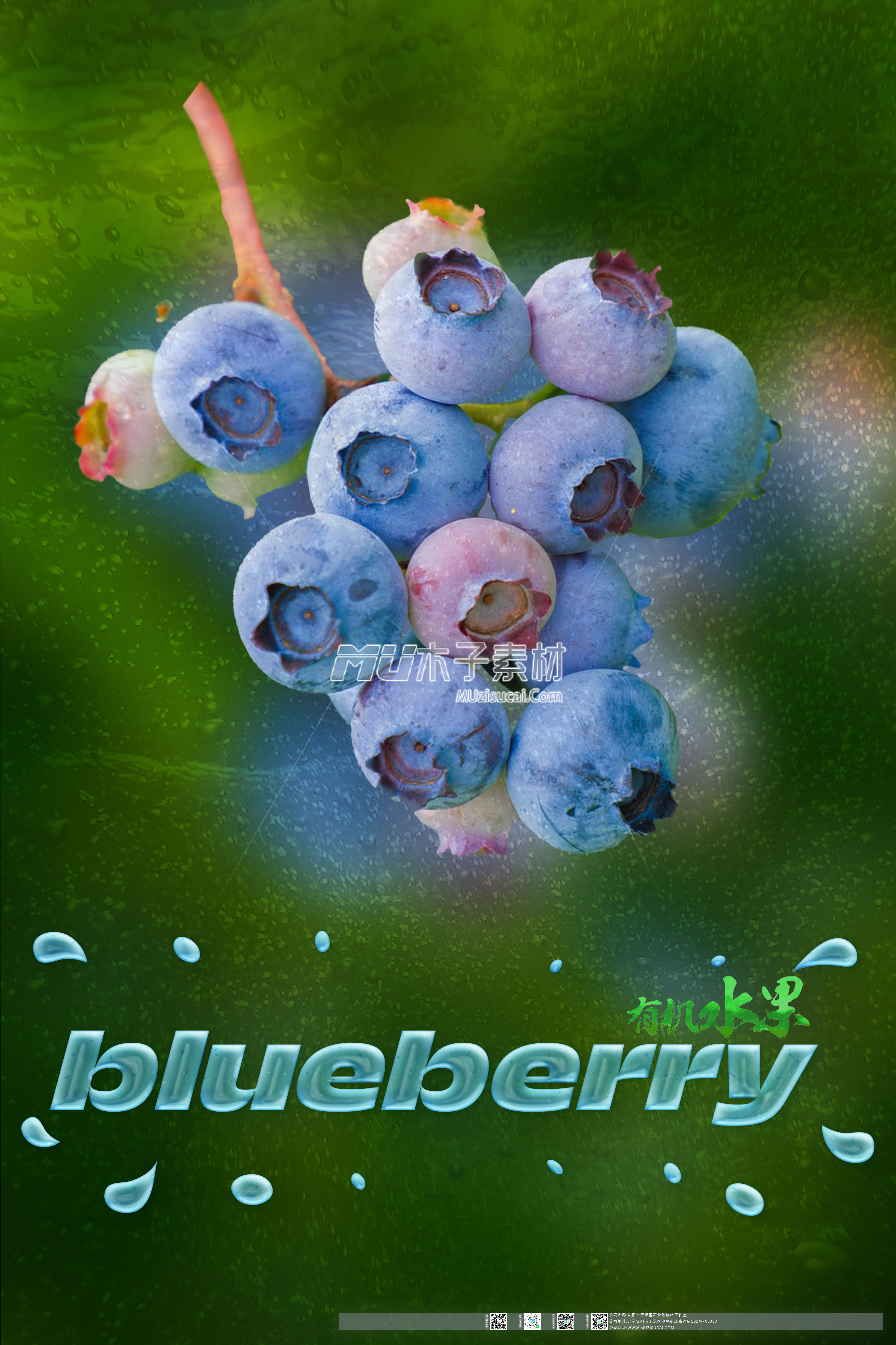 蓝色背景蓝莓海报水果素材psd.jpg