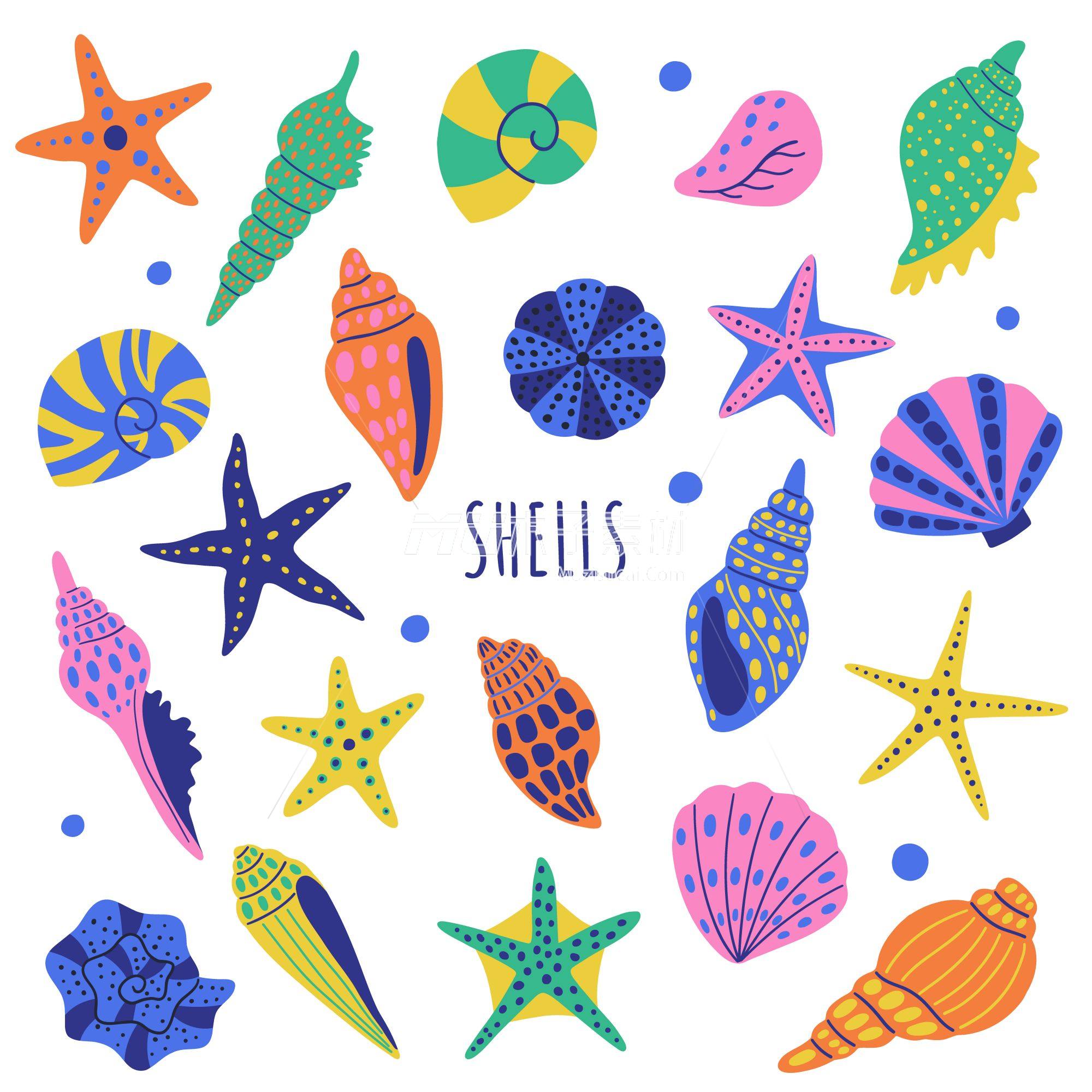 shells_set.jpg