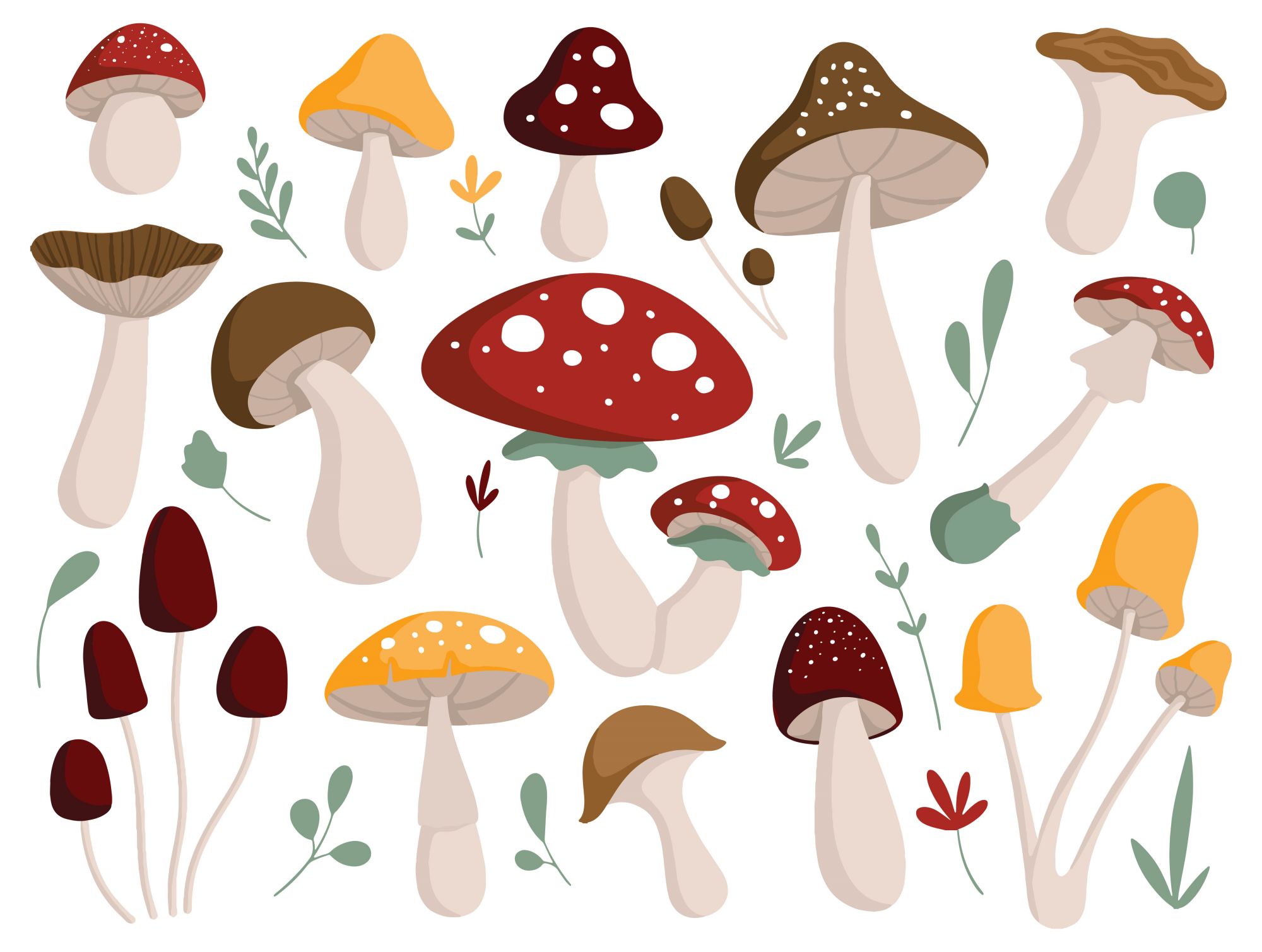 mushroom_flat_doodle_3.jpg