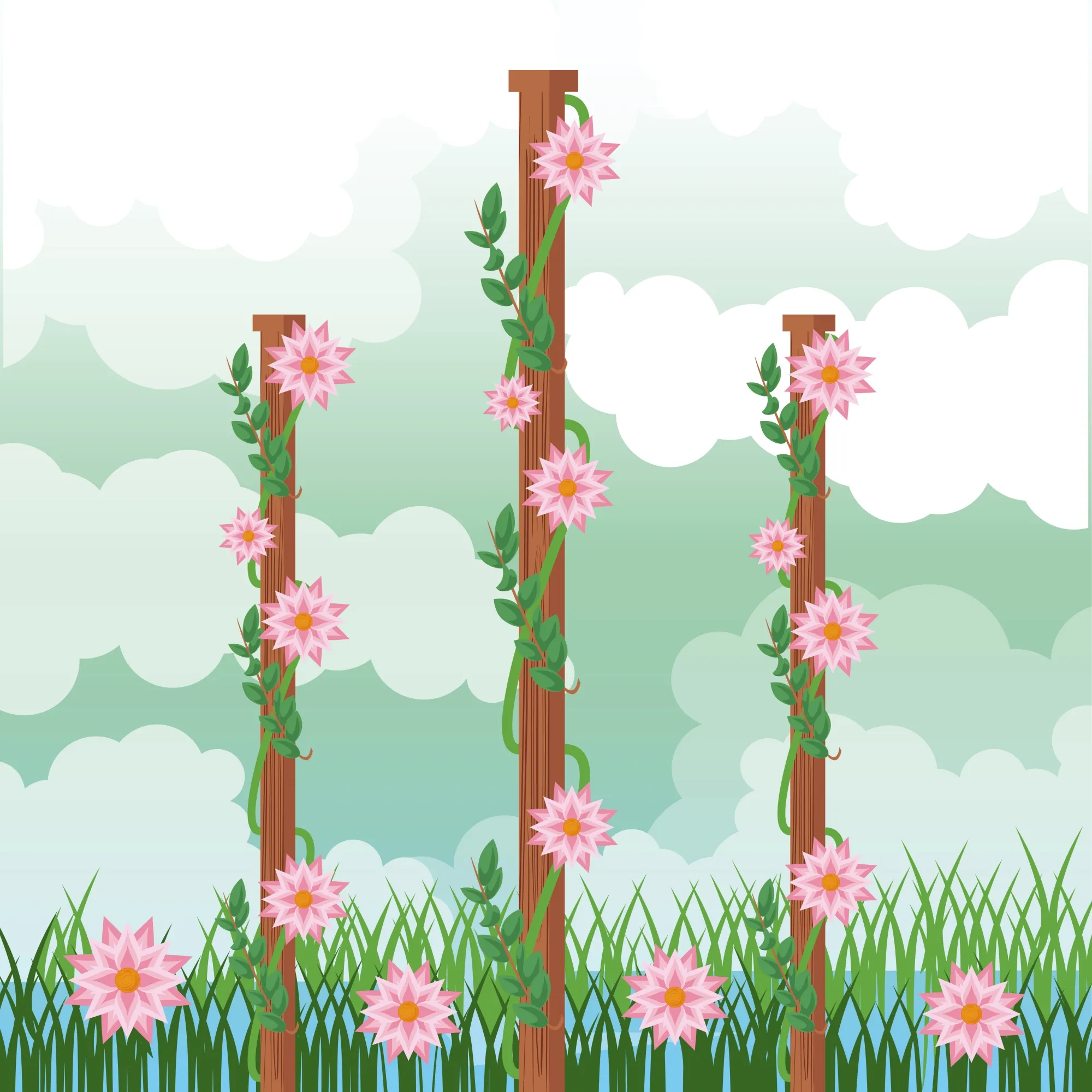 48539.webp