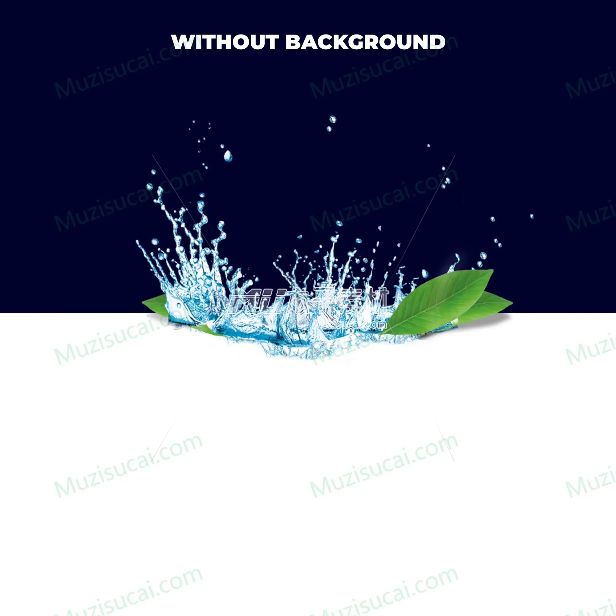 Water1.webp