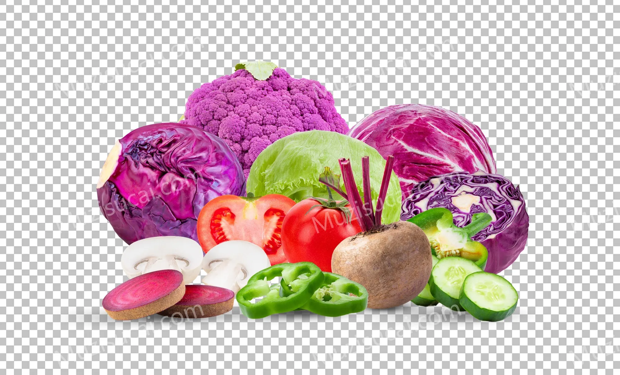 344.webp