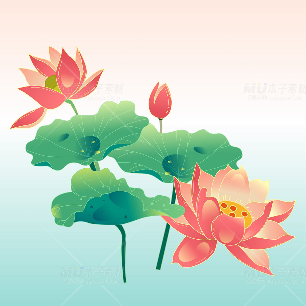简约国风插画，勾勒荷花清雅之姿.jpg