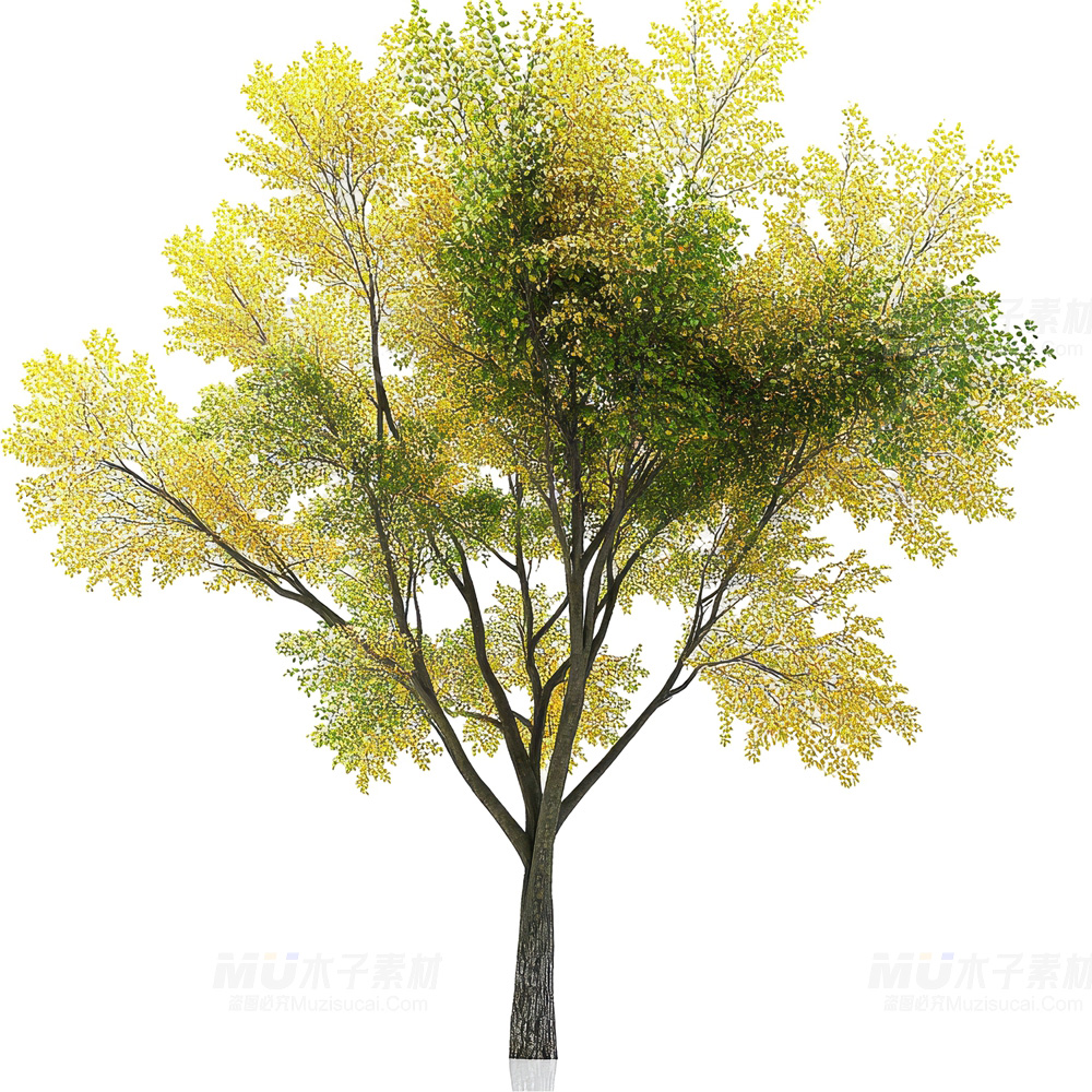 3fc58aa6-f96b-401e-966e-a7da5a2cd93a.jpg