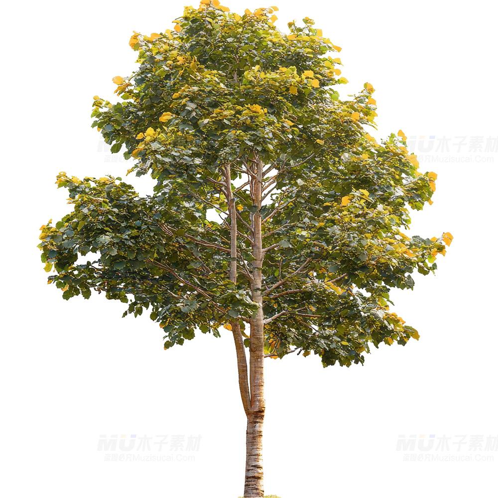 da43aa9c-f4dd-4cb7-9f32-6bd5b9a9b0a3.jpg
