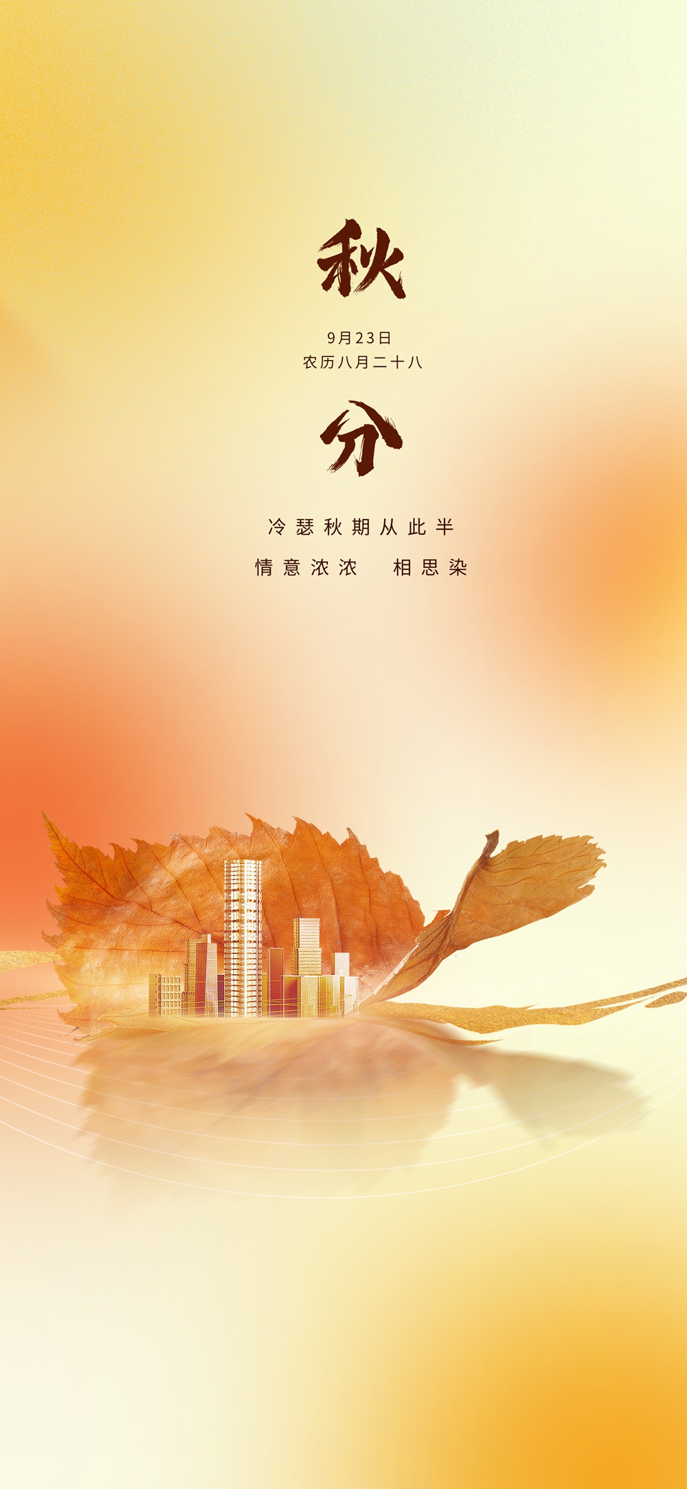 秋分时，叶映城影诉说秋思情长.jpg