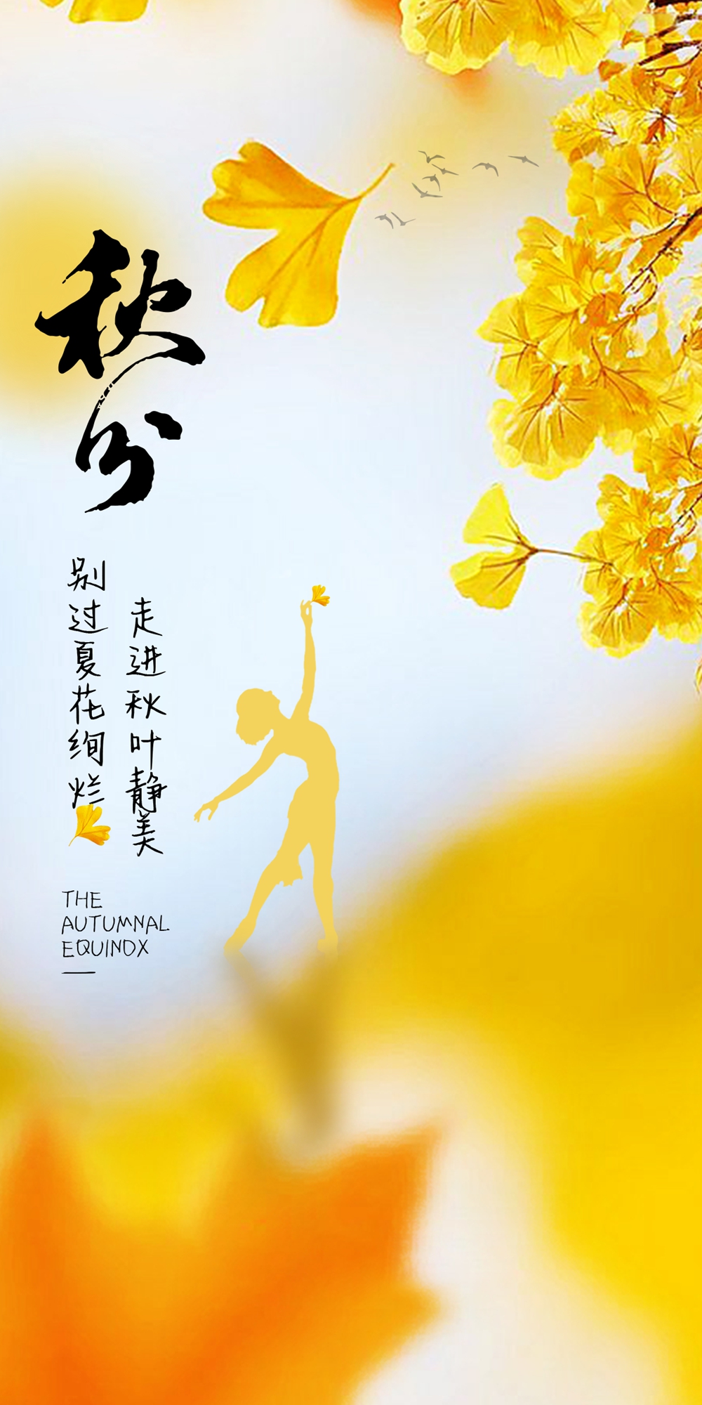秋分 29.jpg