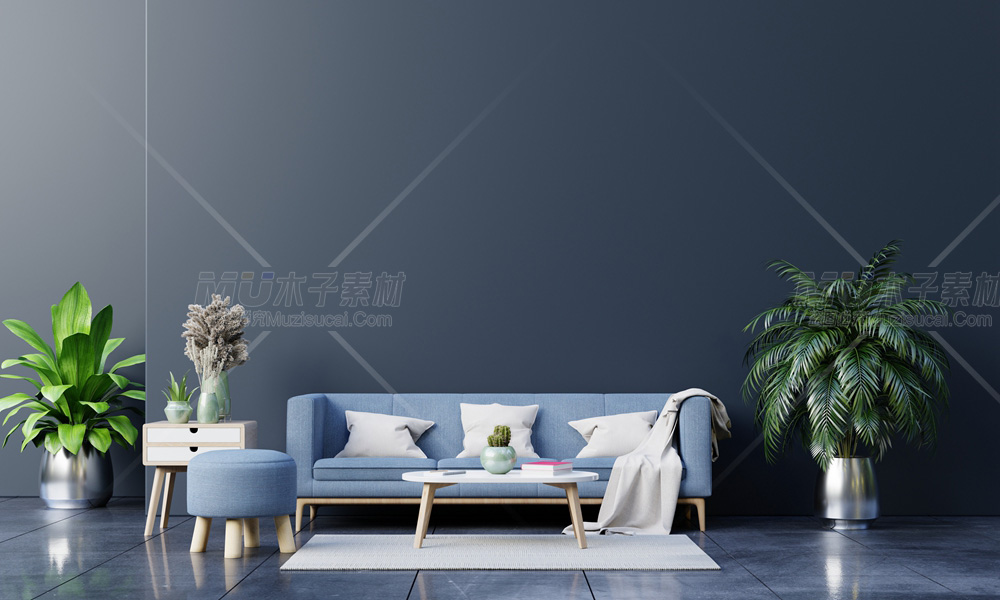 modern-living-room-interior-with-sofa-green-plants-lamp-table-dark-wall_9599865.jpg