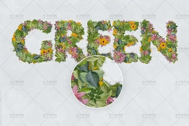 8493702-a4b41bead39cfe6b.webp