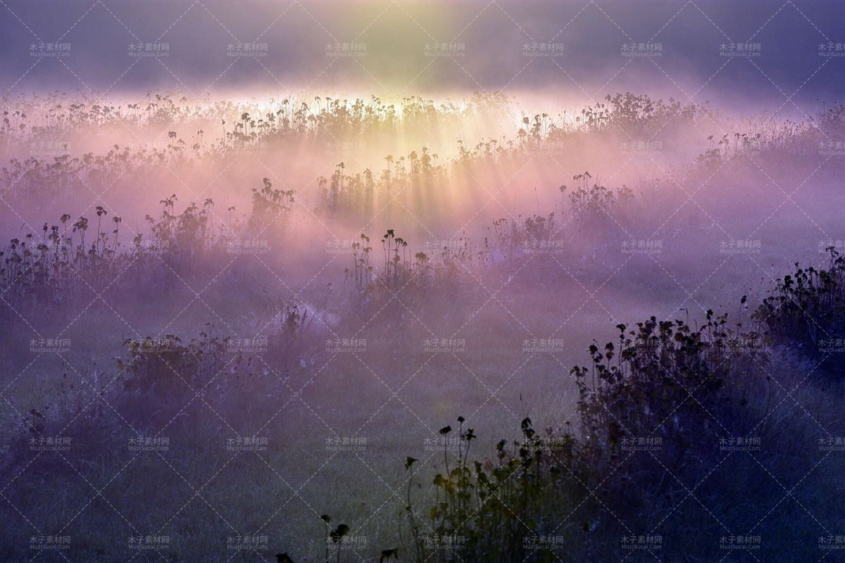 0 3.webp