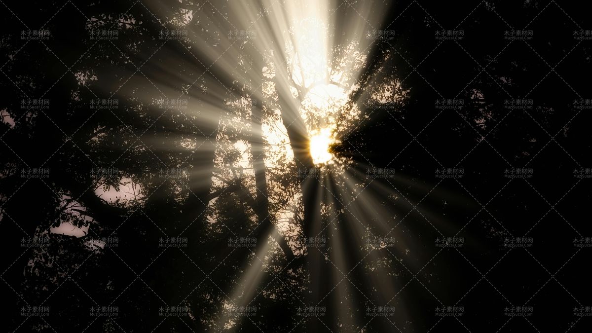 0 4.webp