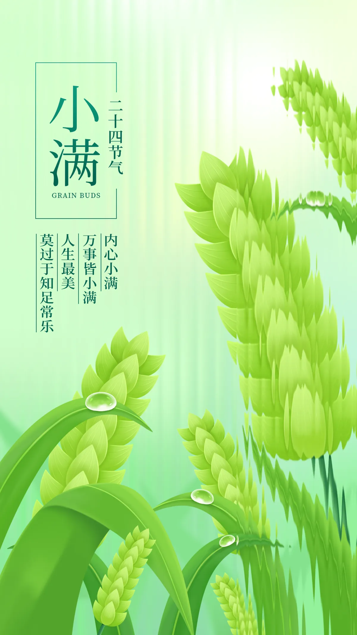 #绿意小满
