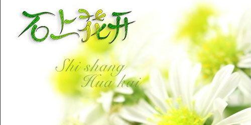 china-typegraphy-design-18