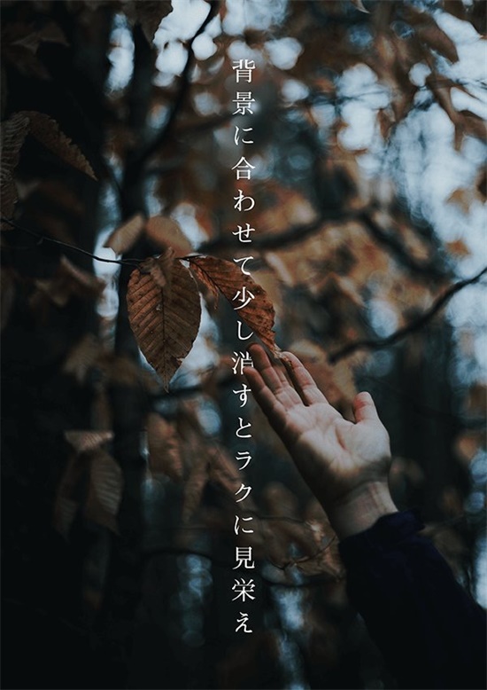 网友教你如何快速做出「看起来像回事的海报和封面」