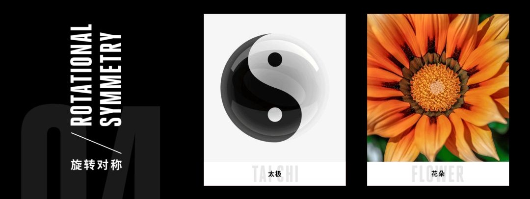 用一篇超长干货，让你全面掌握「对称」这个完美的表现形式