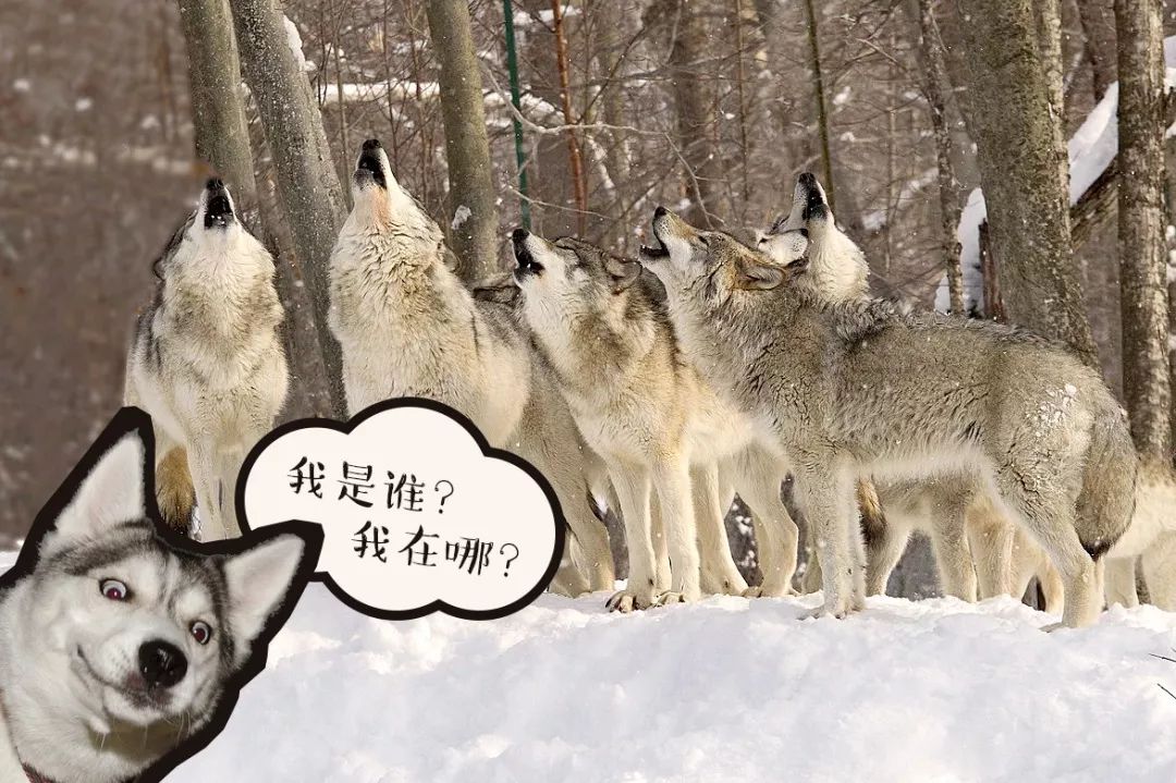 想要版面统一？用这九种手法盘它！
