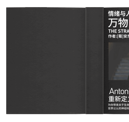 用经典设计规则做排版，为什么效果很平庸？