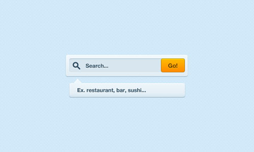 Search Field