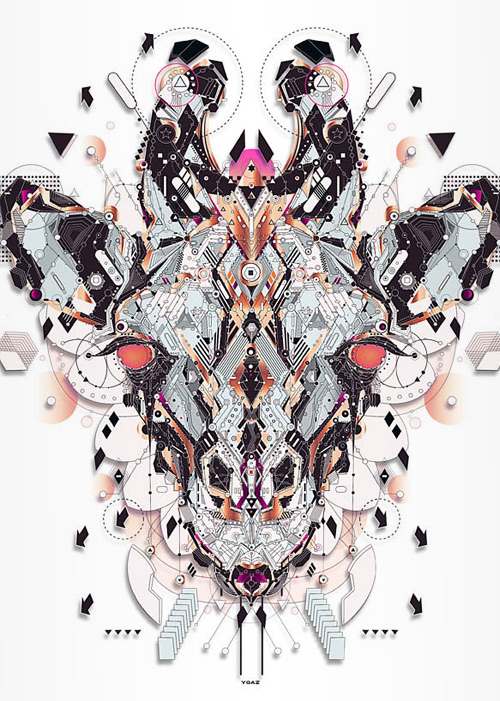 17-antelope-orange