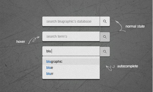 3 State Push Search Field (Psd)