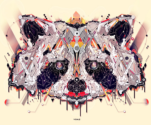 23-raccoon