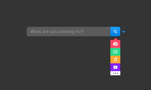 Search Box