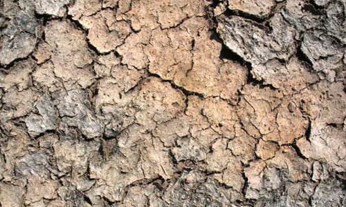 Very Amazing Cracked Clay Texture