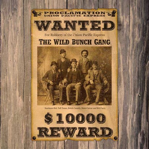 Create a Wild Western 
