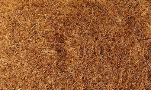 Attractive Hay Texture