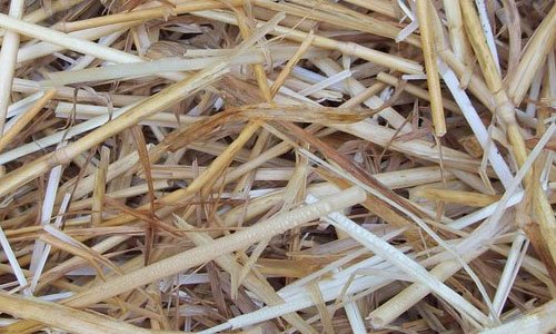 Assuring Hay Texture