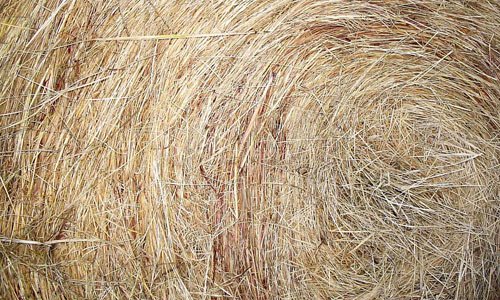 Fine Hay Texture