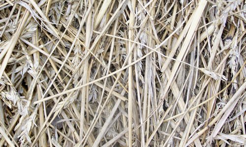 For the Farm Hay Texture