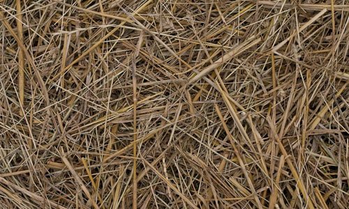 Neatly Taken Hay Texture