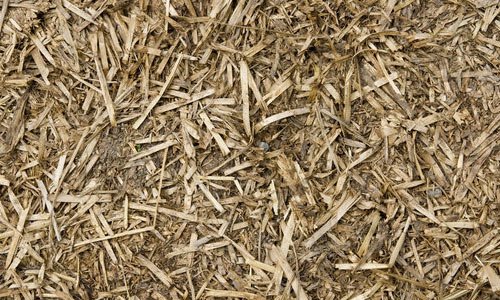 Shattered Hay Texture