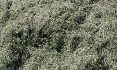 Comfy Hay Texture