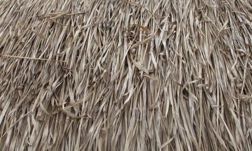 So Useful Hay Texture