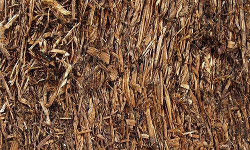 So Wet Straw Texture